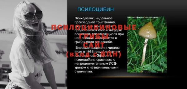 стафф Барнаул