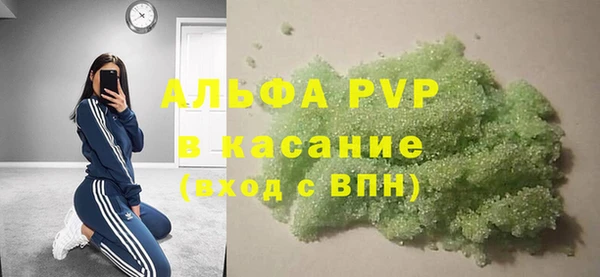 прущие грибы Ижевск