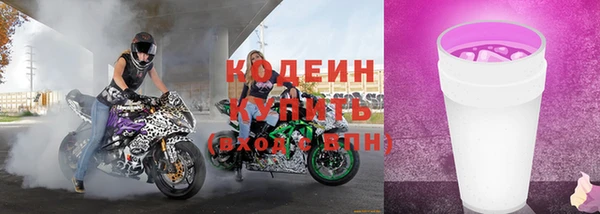прущие грибы Ижевск