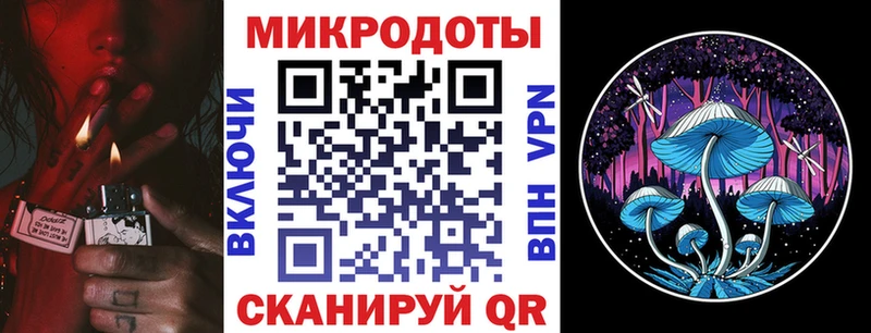 Купить где  Иннополис  Галлюциногенные грибы Cubensis 